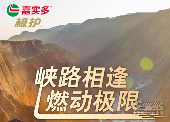 号外！嘉实多极护和专业野王组队了！