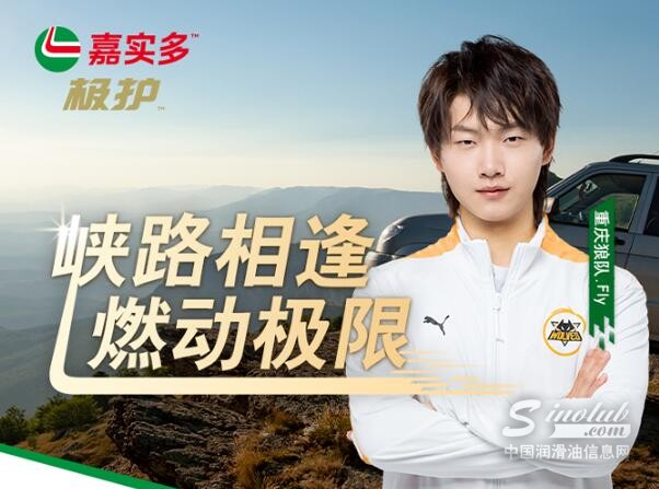 重庆狼队Fly，正邀你「嘉」入队伍