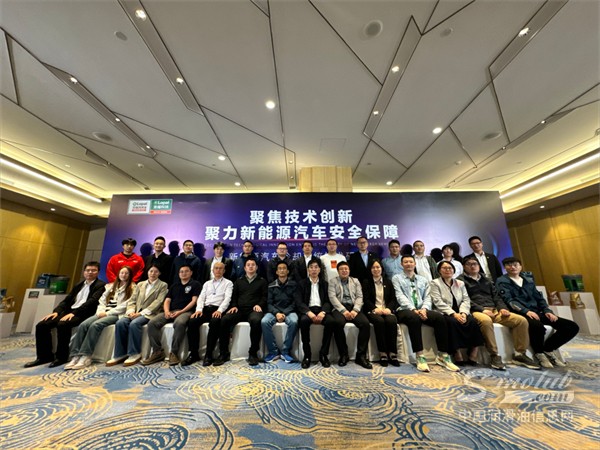 由龙蟠主办的“聚焦技术创新，聚力新能源汽车安全保障——新能源汽车冷却系统技术研讨会”圆满召开