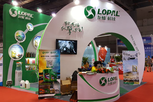 解码民营润滑油企业龙蟠崛起的奥秘