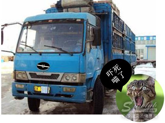 32个赞！第一次见到这么美的卡车！！ 