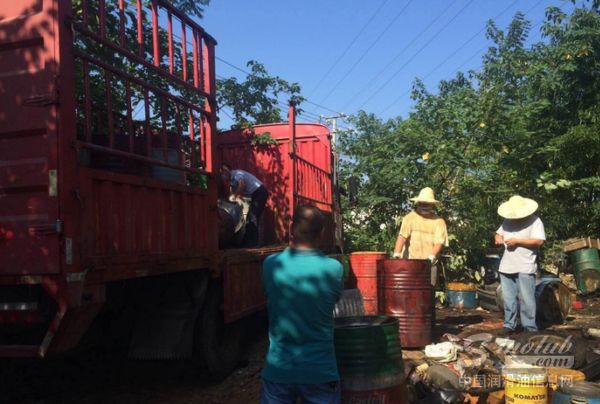 废机油究竟去哪儿了？