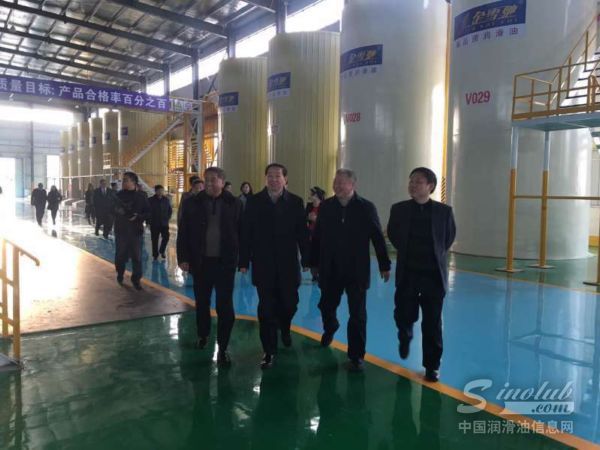 金雪驰扬帆起航 再创辉煌