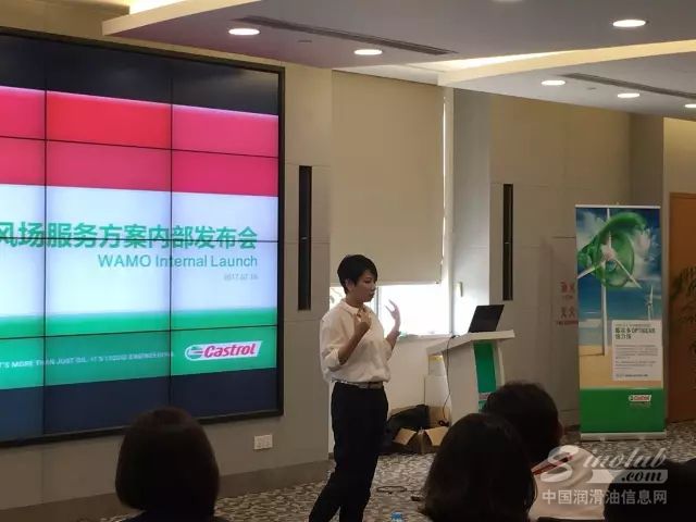 嘉实多全面启动风电后市场解决方案