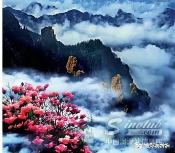 【金球润滑油】清凉夏季六日游，约吗？