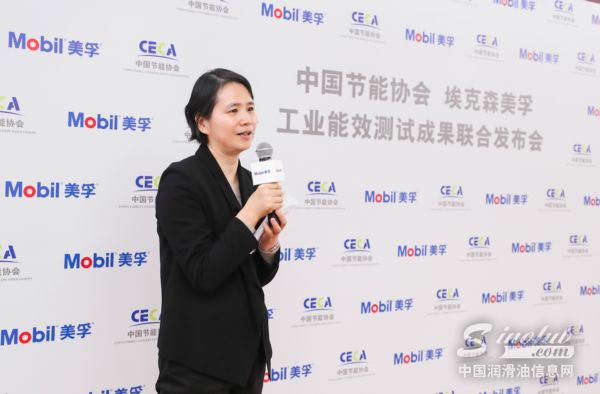 能效测试评审专家代表、中国节能协会高级顾问、中节能工程技术研究院总工许泓在发布会上致辞