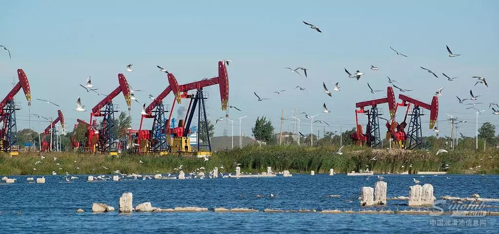 重磅!中石油正式落子雄安!