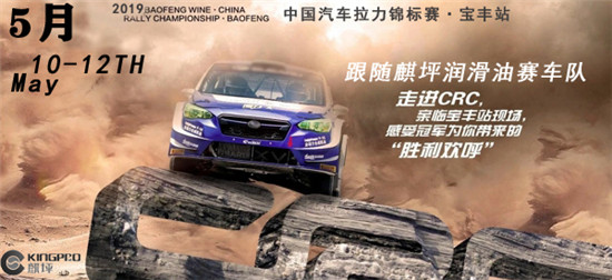 麒坪润滑油赛车队