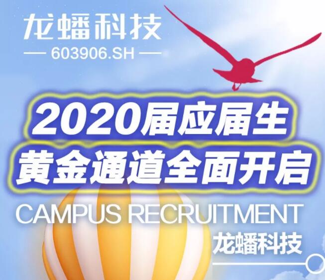 龙蟠科技2020届应届生黄金通道全面开启