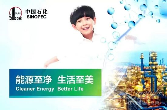 中国石化举办资本市场投资论坛