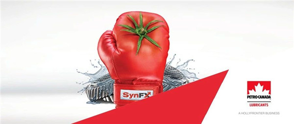 加拿大石油经销商的故事丨专注细分市场，从“头”开始！