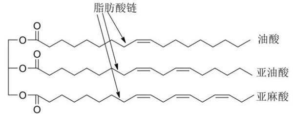 科普 | 植物油基润滑油基础油及添加剂的合成研究进展