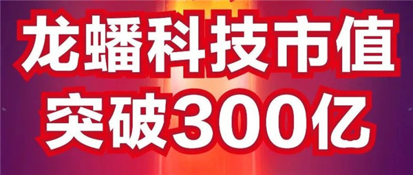 龙蟠科技市值成功突破300亿！