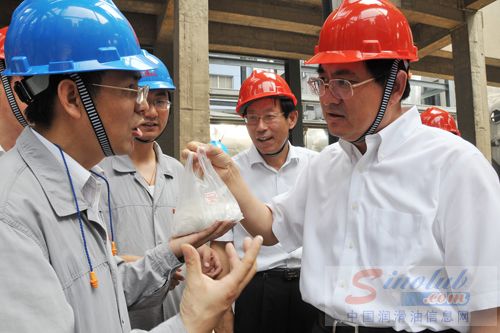 中国石化集团公司09年环保工作会在金陵石化召开