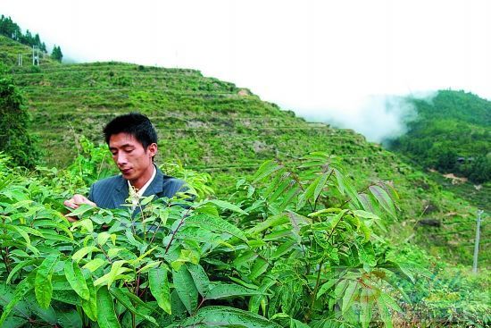 全国最大生物润滑油基地将落户德化