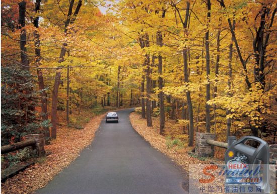 纵情山水先保养 爱车“减负”清新游