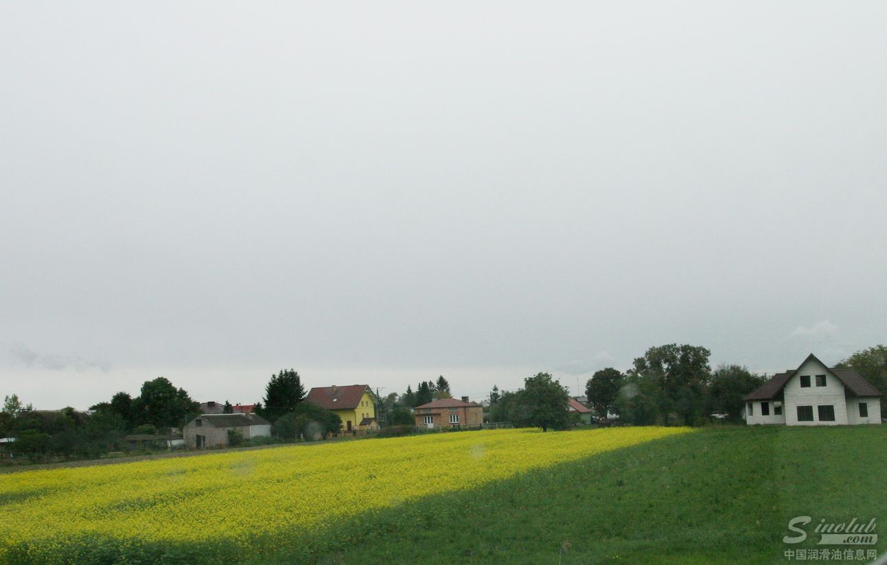 马石油F1冠军之旅波兰站